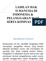 Pengadilan Ham Di Indonesia