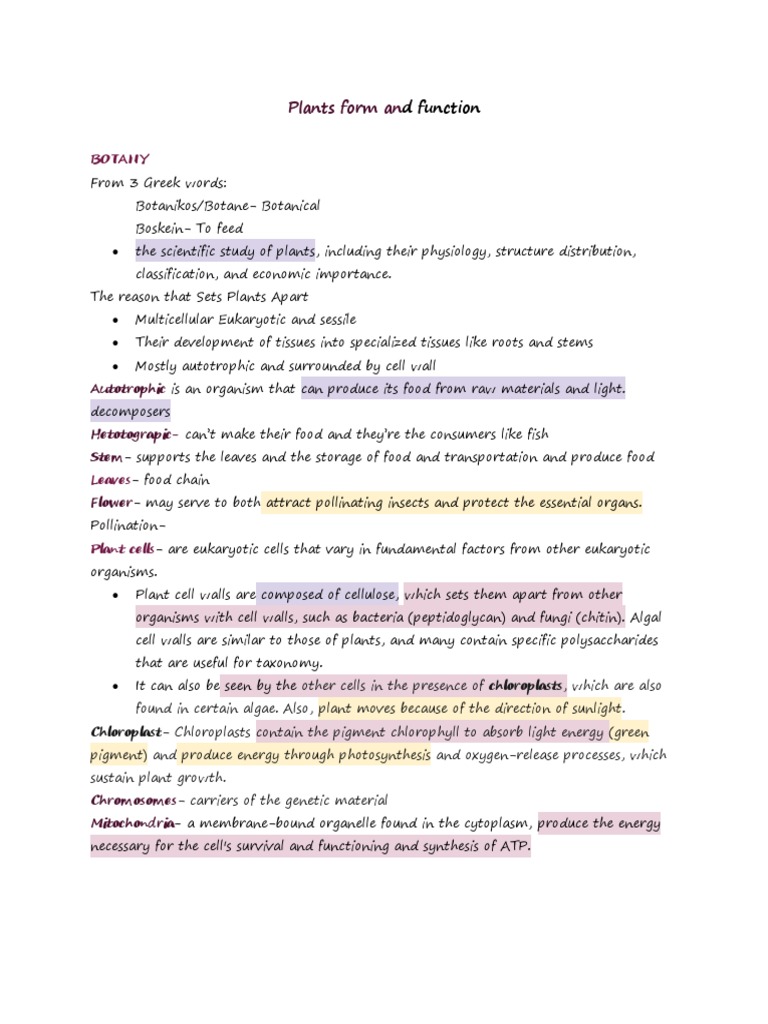 Understanding Plant Structure and Function | PDF | Tissue (Biology ...