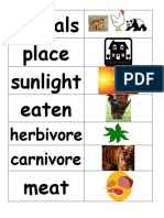 Animals Place Sunlight Eaten: Herbivore Carnivore