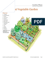 Fall Harvest Vegetable Garden