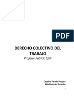 Derecho Colectivo Del Trabajo. 2016