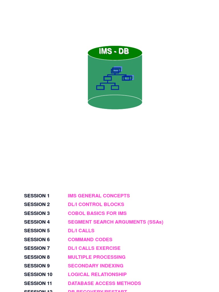 IMS Database Overview and Concepts | PDF | Database Index | Databases