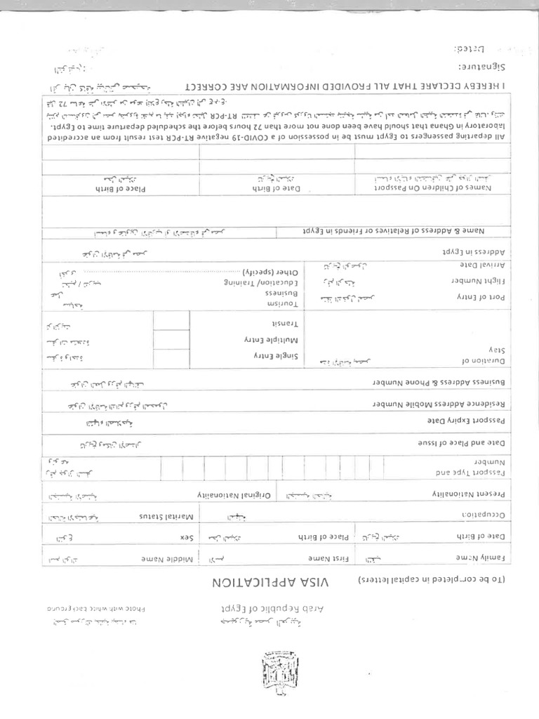 Egypt Application Form | PDF