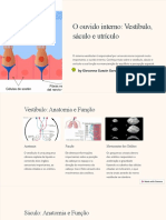 O Ouvido Interno Vestibulo Saculo e Utriculo