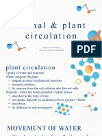 Animal and Plant Circulation