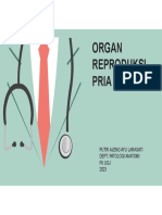 Patologi Repro Pria - Putri PA