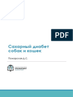 Конспект вебинара Сахарный диабет с Дарьей Пожарской