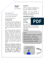 P5 EQ1 Fermentacion - Alcoholica - de Levadura