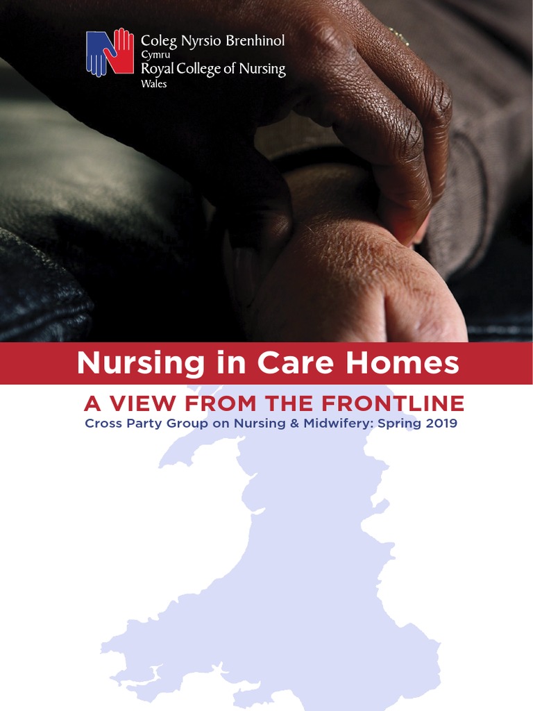 Care Homes Report PDF Nursing End Of Life Care