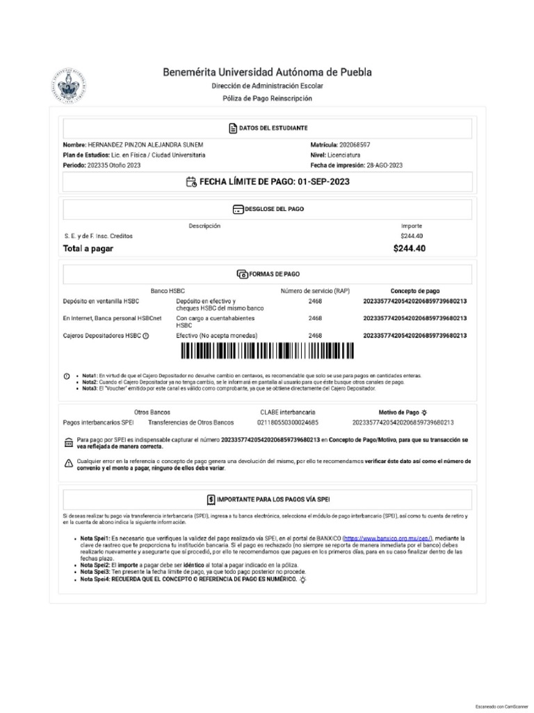 ficha-de-pago-pdf
