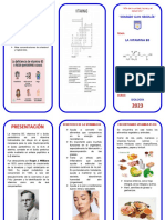 Triptico Vitamina B5