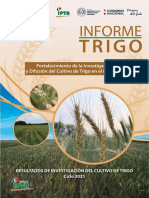 IPTA Informe Trigo 2021 - Version 25 08 22