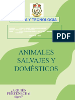 Exposicion Animales