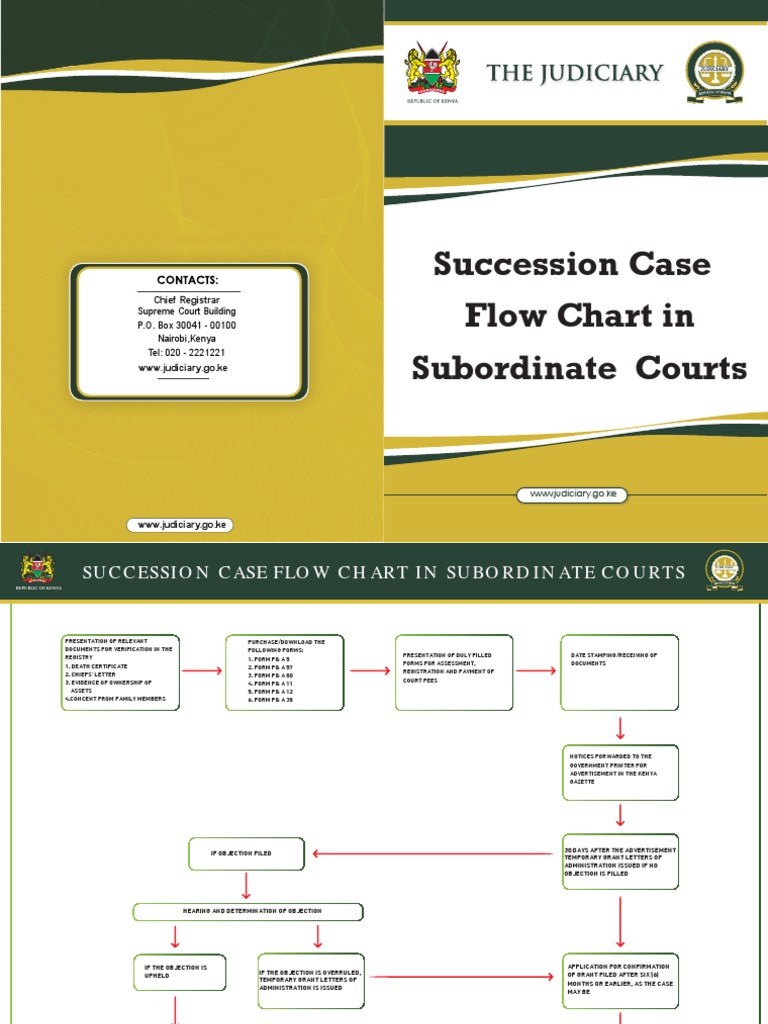 Succession Case Flow Chart in Subordinate Courts PDF Public Law