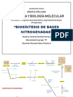 Actividad 21. Diagrama Flujo Biosíntesis de Bases Nitrogenadas