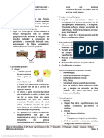 Clínica Odontológica III (Prótese Parcial Removível) - 7º Semestre - 2 Unidade - Aula 2 - Apoios e Nichos