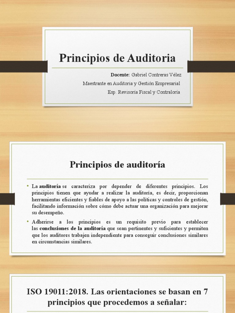 1 3 Principios De Auditoria Descargar Gratis Pdf Auditoría Business