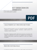 Principios y Derechos en El Procedimiento