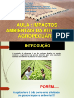 Impactos Ambientais Da Atividade Agropecuaria ASubsequente