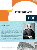 PROCESOS INTELigencia 8