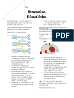 Potencial de Ação