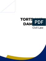 2021 Blue Notes Civil Law - Torts