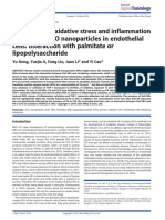 Cytotoxicity, Oxidative Stress and Inflammation Induced by ZnO