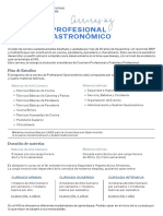 PDF Profesional Gastronomico Agosto