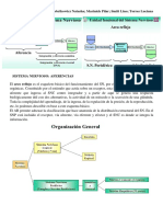 Clase 5 - SN - Aferencia