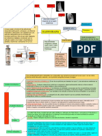 Organizador de Radiografia