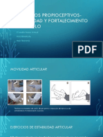 Ejercicios Fortalecimiento y Estabilidad Miembros Inferiores