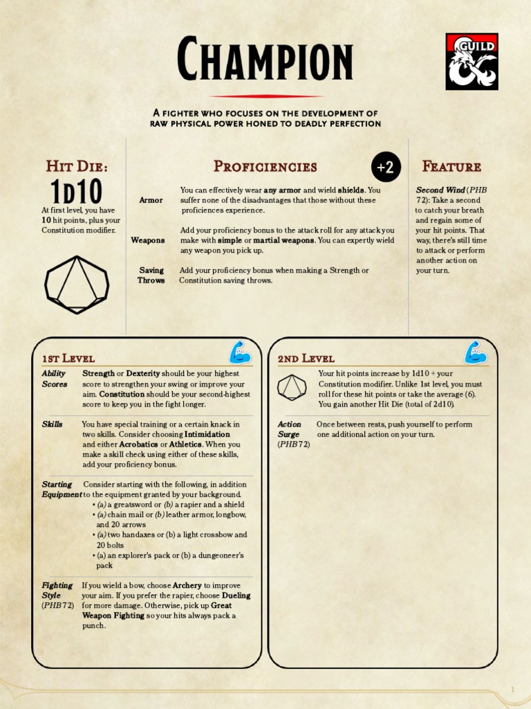 Fighter Class Guide for D&D Players | PDF