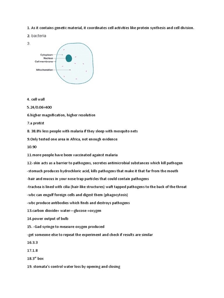 2019 Biology Answers Pdf Heart Blood