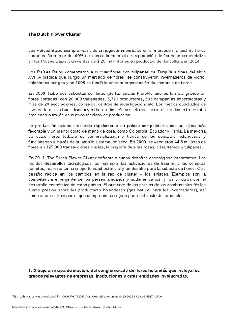 caso-5-the-dutch-flower-cluster-1-descargar-gratis-pdf-agricultura
