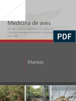 7 - Medicina de Aves