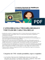 Categorias de Carteira Nacional de Habilitacao Apresentacao Francielle Tamires