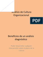 Análisis Cultura Organizacional