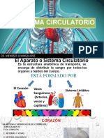 SISTEMA CIRCULATORIO (2)