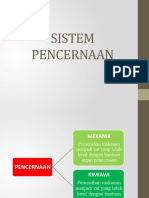 Sistem Pencernaan