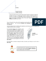 Clase de Biologia 12 Agosto