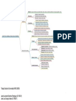 Mapa Conceptual