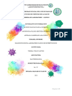 Práctica 6 Bacteriología Pii23