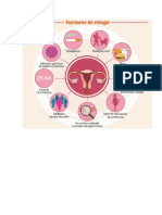 Cancer cervico-uterino