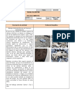 05-05-2021 Reporte Ambiental-Aspidocelis