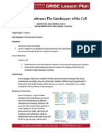 Cell Membrane The Gatekeeper of The Cell