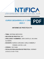 Informe 09 Desarrollo y Crecimiento