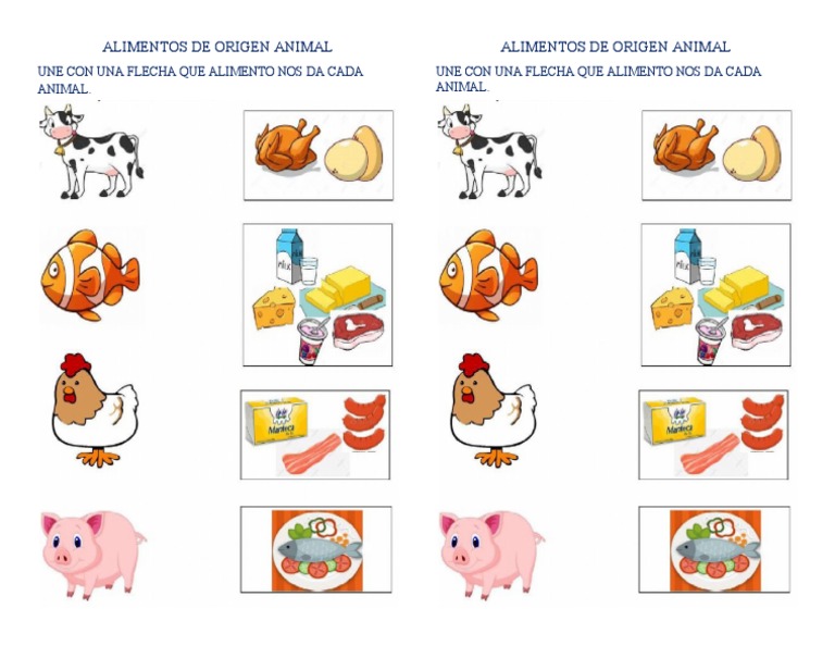 Dibujos de alimentos de origen animal | PDF