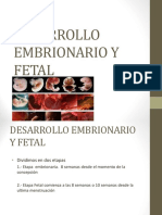 7 Desarrollo Embrionario y Fetal