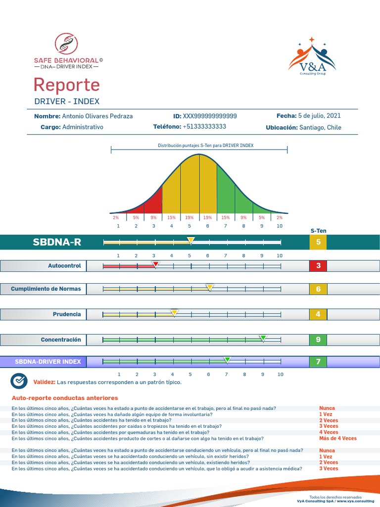 Reporte de Puntajes S-Ten DRIVER Index | PDF