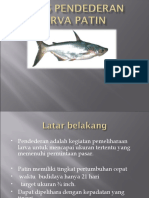 Ikan PATIN